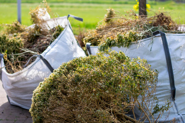 Best Dumpster Rental Services  in Van Buren, MO
